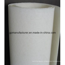 160G/M2 Best Price for Polyester Mat